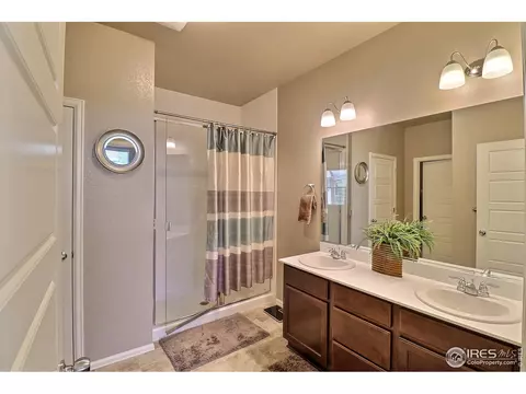 2284 Stonefish Dr, Windsor, CO 80550 photo 24