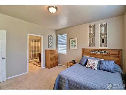 2284 Stonefish Dr, Windsor, CO 80550 photo 22