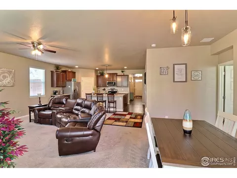 2284 Stonefish Dr, Windsor, CO 80550 photo 11