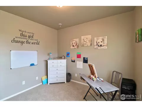 2284 Stonefish Dr, Windsor, CO 80550 photo 29