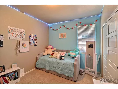 2284 Stonefish Dr, Windsor, CO 80550 photo 34