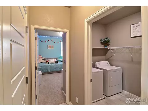 2284 Stonefish Dr, Windsor, CO 80550 photo 35