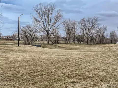 4923 E 124th Way, Thornton, CO 80241 photo 25