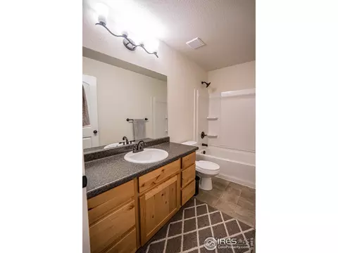488 Mt Belford Dr, Windsor, CO 80550 photo 20