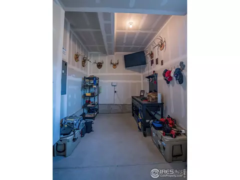 488 Mt Belford Dr, Windsor, CO 80550 photo 28