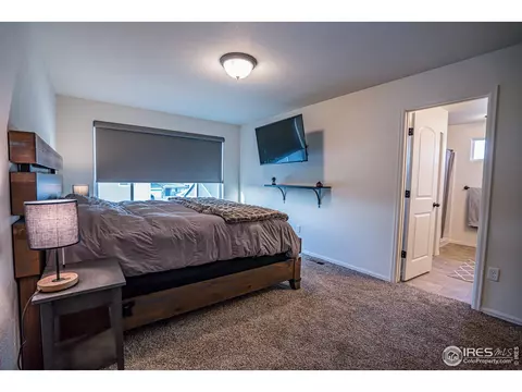488 Mt Belford Dr, Windsor, CO 80550 photo 26