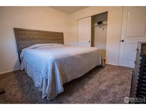 488 Mt Belford Dr, Windsor, CO 80550 photo 17