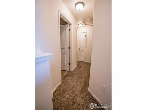 488 Mt Belford Dr, Windsor, CO 80550 photo 11