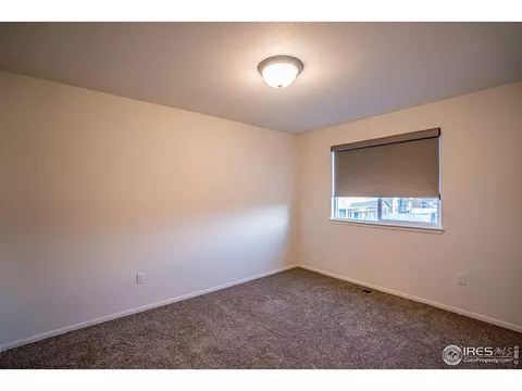 488 Mt Belford Dr, Windsor, CO 80550 photo 15