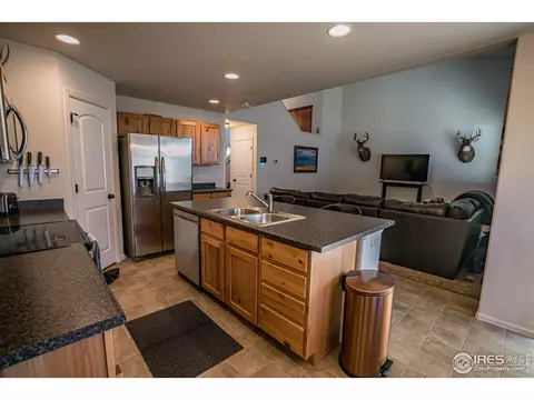 488 Mt Belford Dr, Windsor, CO 80550 photo 14