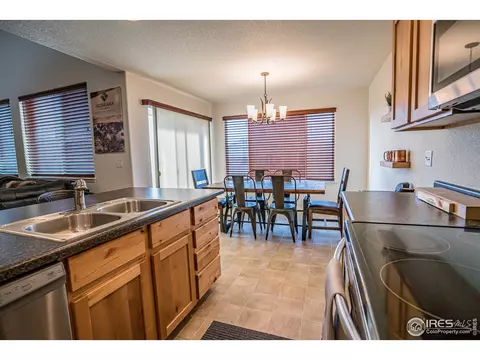 488 Mt Belford Dr, Windsor, CO 80550 photo 8