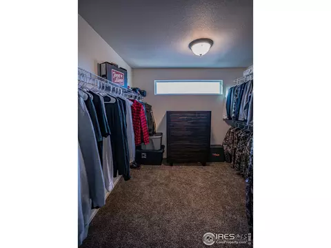 488 Mt Belford Dr, Windsor, CO 80550 photo 30
