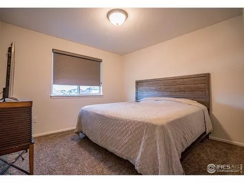 488 Mt Belford Dr, Windsor, CO 80550 photo 16