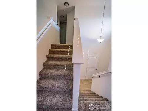 488 Mt Belford Dr, Windsor, CO 80550 photo 13
