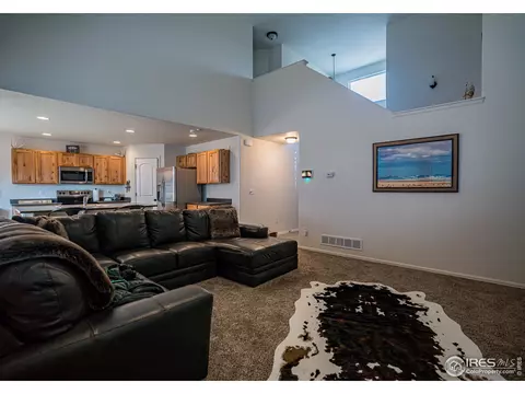 488 Mt Belford Dr, Windsor, CO 80550 photo 10