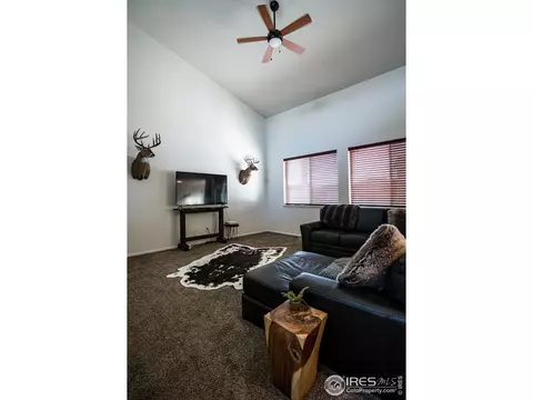 488 Mt Belford Dr, Windsor, CO 80550 photo 5