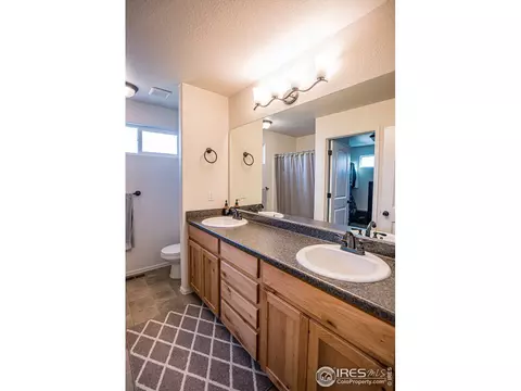 488 Mt Belford Dr, Windsor, CO 80550 photo 23