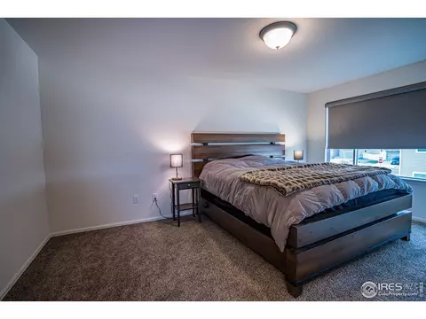488 Mt Belford Dr, Windsor, CO 80550 photo 19