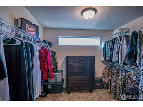 488 Mt Belford Dr, Windsor, CO 80550 photo 24