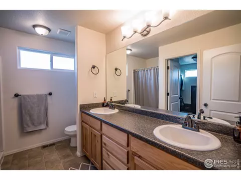 488 Mt Belford Dr, Windsor, CO 80550 photo 25
