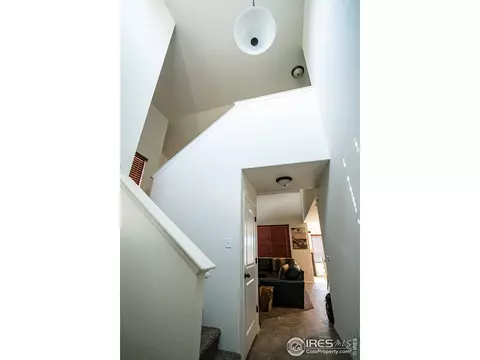 488 Mt Belford Dr, Windsor, CO 80550 photo 3