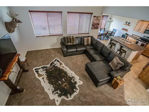 488 Mt Belford Dr, Windsor, CO 80550 photo 12