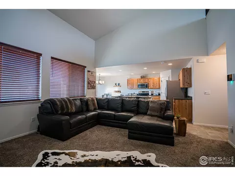 488 Mt Belford Dr, Windsor, CO 80550 photo 4