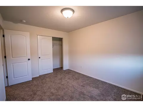488 Mt Belford Dr, Windsor, CO 80550 photo 22