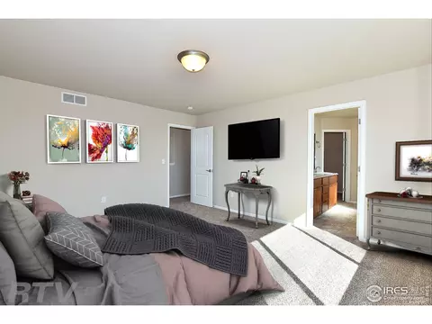 1320 Chamois Dr, Severance, CO 80550 photo 8