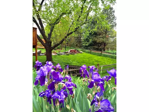 827 Dearborn Pl, Boulder, CO 80303 photo 31