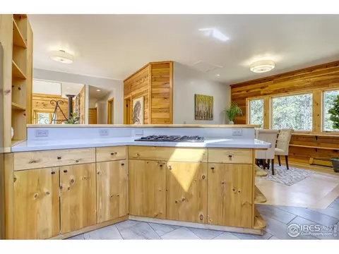 381 Ridge Rd, Ward, CO 80481 photo 16