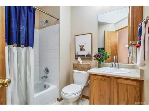 5433 S Killarney, Centennial, CO 80015 photo 20