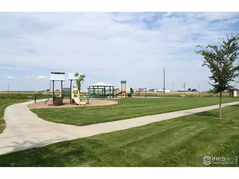 1180 Bowen Pass St, Windsor, CO 80550 photo 39