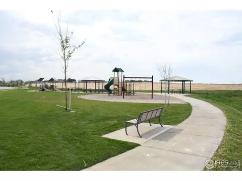 1180 Bowen Pass St, Windsor, CO 80550 photo 38