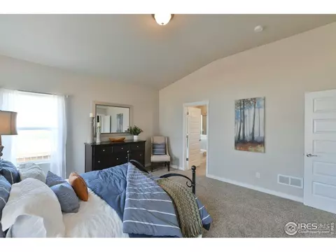 1180 Bowen Pass St, Windsor, CO 80550 photo 16