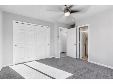 110 Calabria Dr, Windsor, CO 80550 photo 19