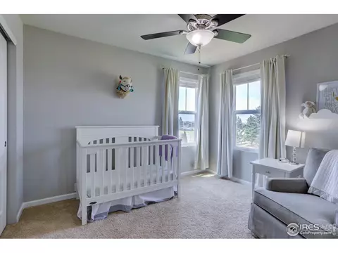 3007 Trinity Loop, Broomfield, CO 80023 photo 30