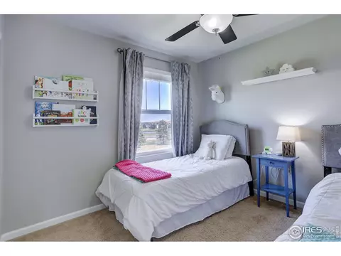 3007 Trinity Loop, Broomfield, CO 80023 photo 29