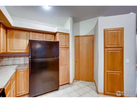 243 Opal Ct, Windsor, CO 80550 photo 10