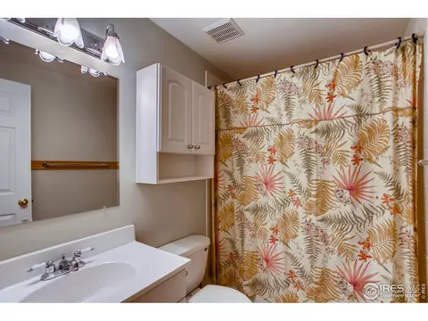 243 Opal Ct, Windsor, CO 80550 photo 24