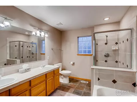243 Opal Ct, Windsor, CO 80550 photo 17
