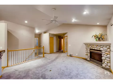 243 Opal Ct, Windsor, CO 80550 photo 4