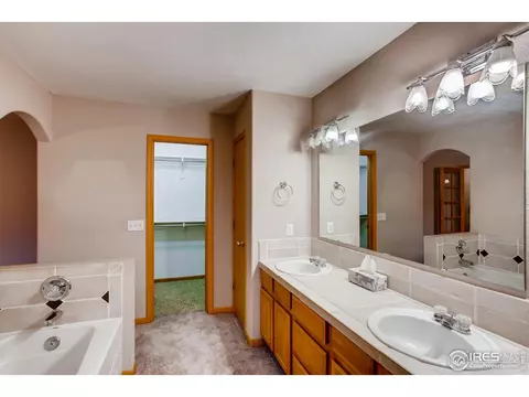 243 Opal Ct, Windsor, CO 80550 photo 16