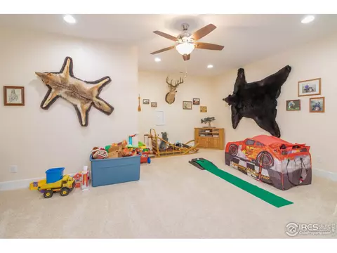 31455 E 162nd Ave, Hudson, CO 80642 photo 21