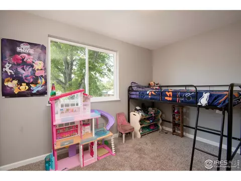 3227 E 117th Pl, Thornton, CO 80233 photo 12