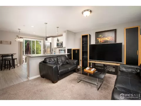 3227 E 117th Pl, Thornton, CO 80233 photo 5