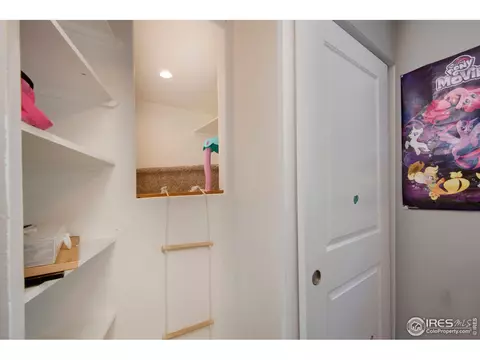 3227 E 117th Pl, Thornton, CO 80233 photo 13