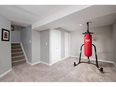 3227 E 117th Pl, Thornton, CO 80233 photo 21