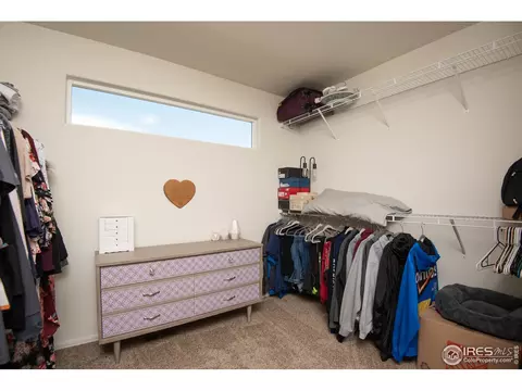 913 Mt Shavano Ave, Severance, CO 80550 photo 14