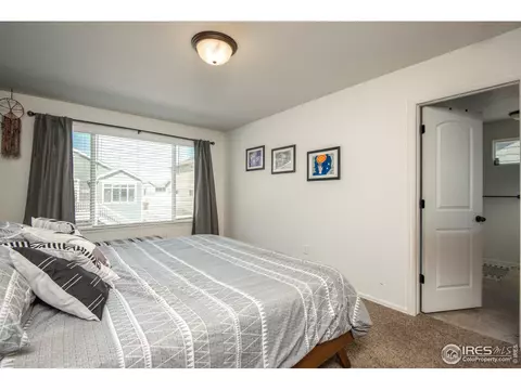 913 Mt Shavano Ave, Severance, CO 80550 photo 11